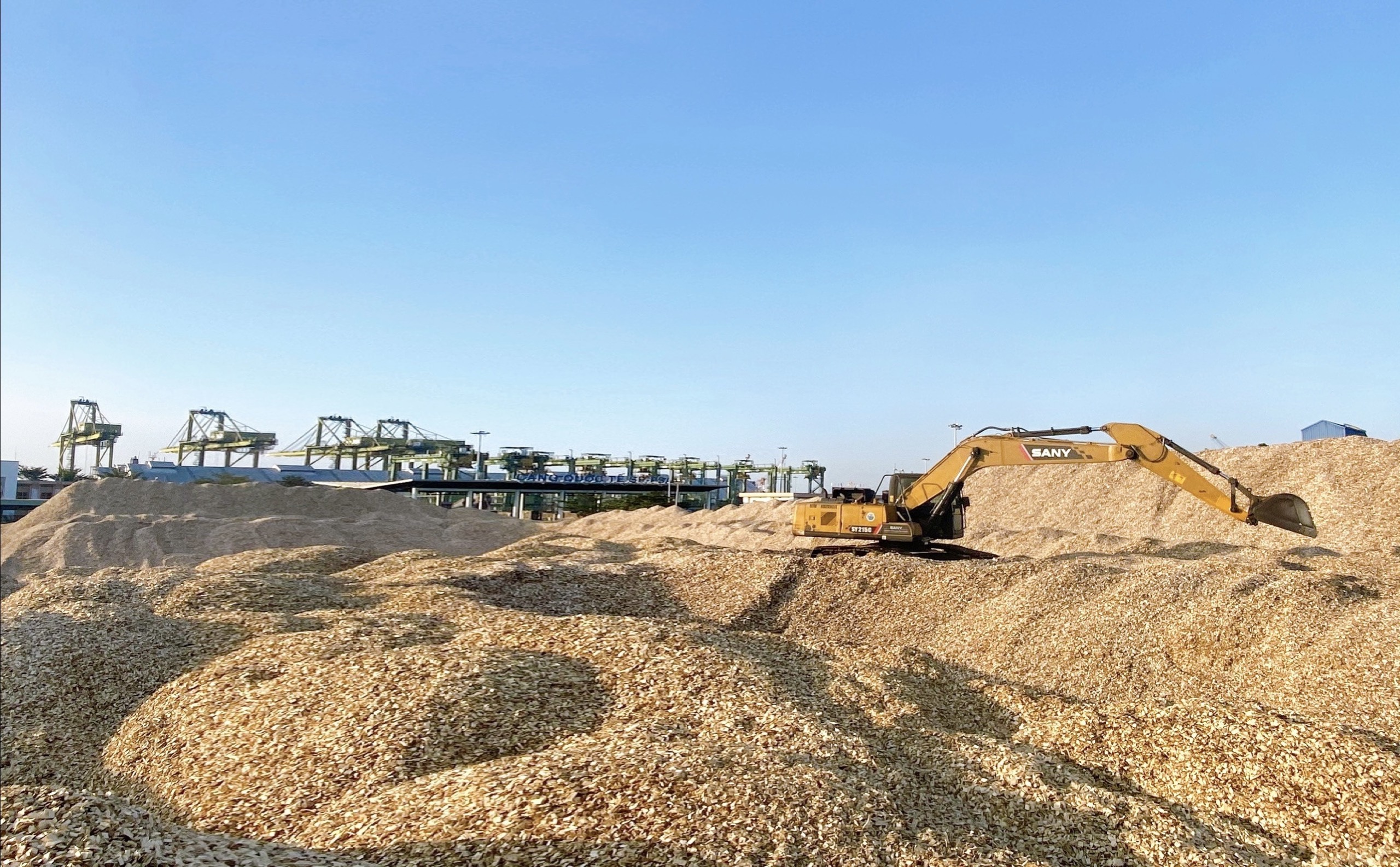 Wood chips export