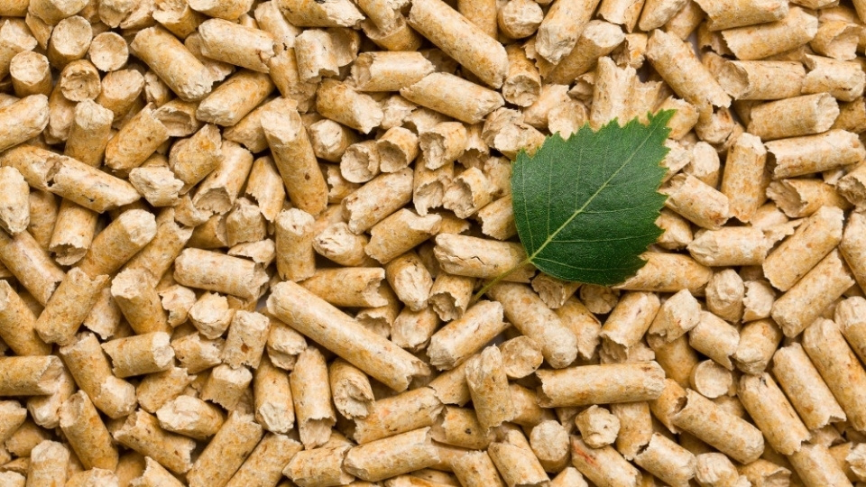 Wood pellets export